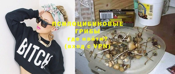 spice Арсеньев
