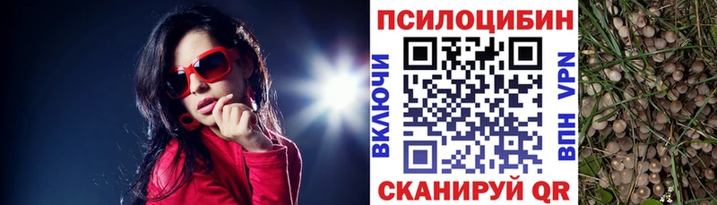 Галлюциногенные грибы мицелий  цены наркотик  нарко площадка какой сайт  Мичуринск 